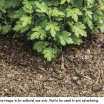 article image - 